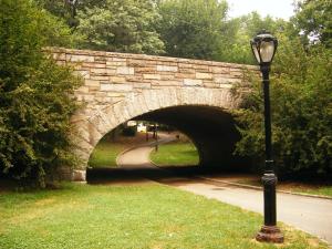 Central Park Undisturbed (New York, NY)